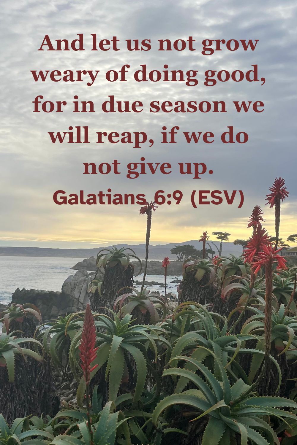 Galatians 6:9 (ESV): And let us not grow weary of doing good, for in due season we will reap, if we do not give up.
