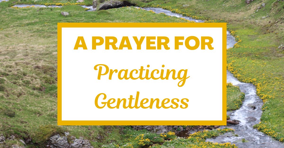 A Prayer for Practicing&nbsp;Gentleness