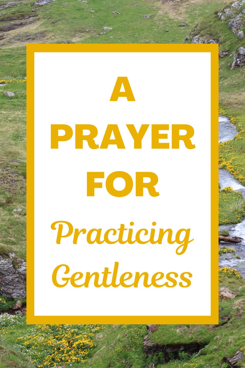 A Prayer for Practicing Gentleness