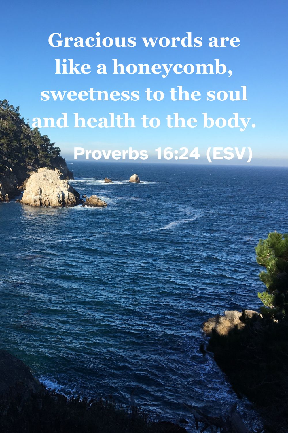 Proverbs 16:24 (ESV): Gracious words are like a honeycomb, sweetness to the soul and health to the body.