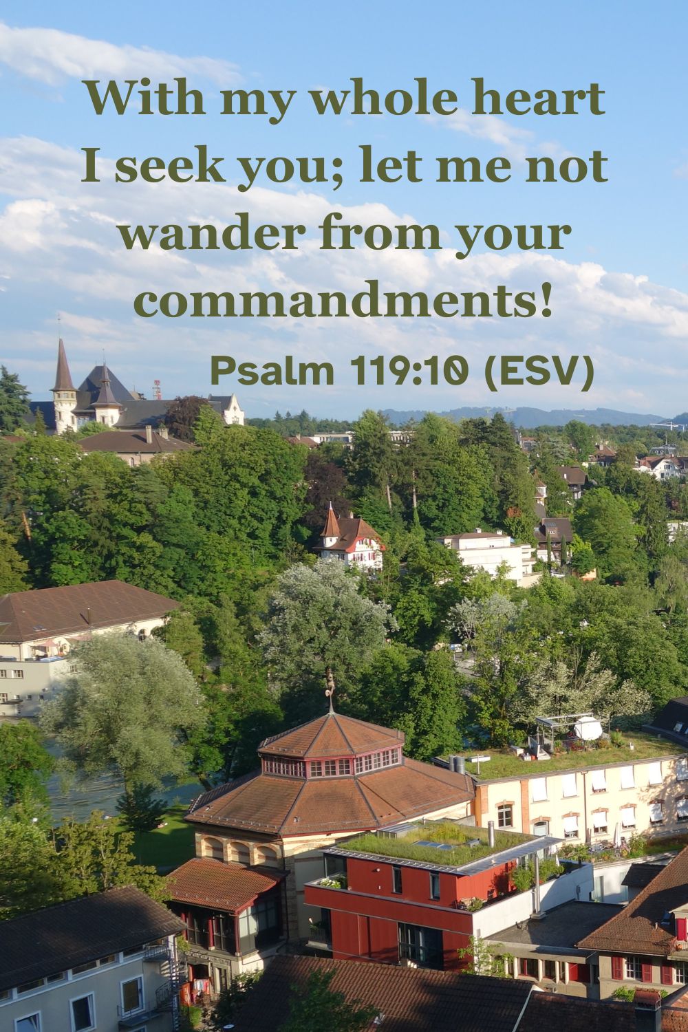 Psalm 119:10 (ESV): With my whole heart I seek you; let me not wander from your commandments!