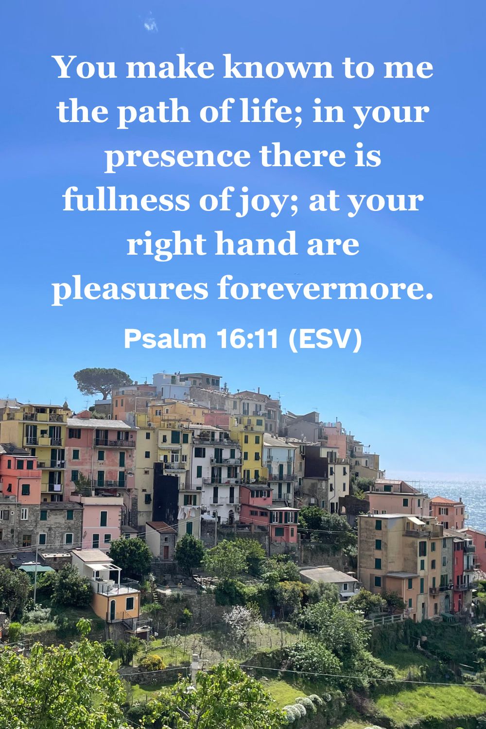 Psalm 16:11 (ESV): You make known to me the path of life; in your presence there is fullness of joy; at your right hand are pleasures forevermore.