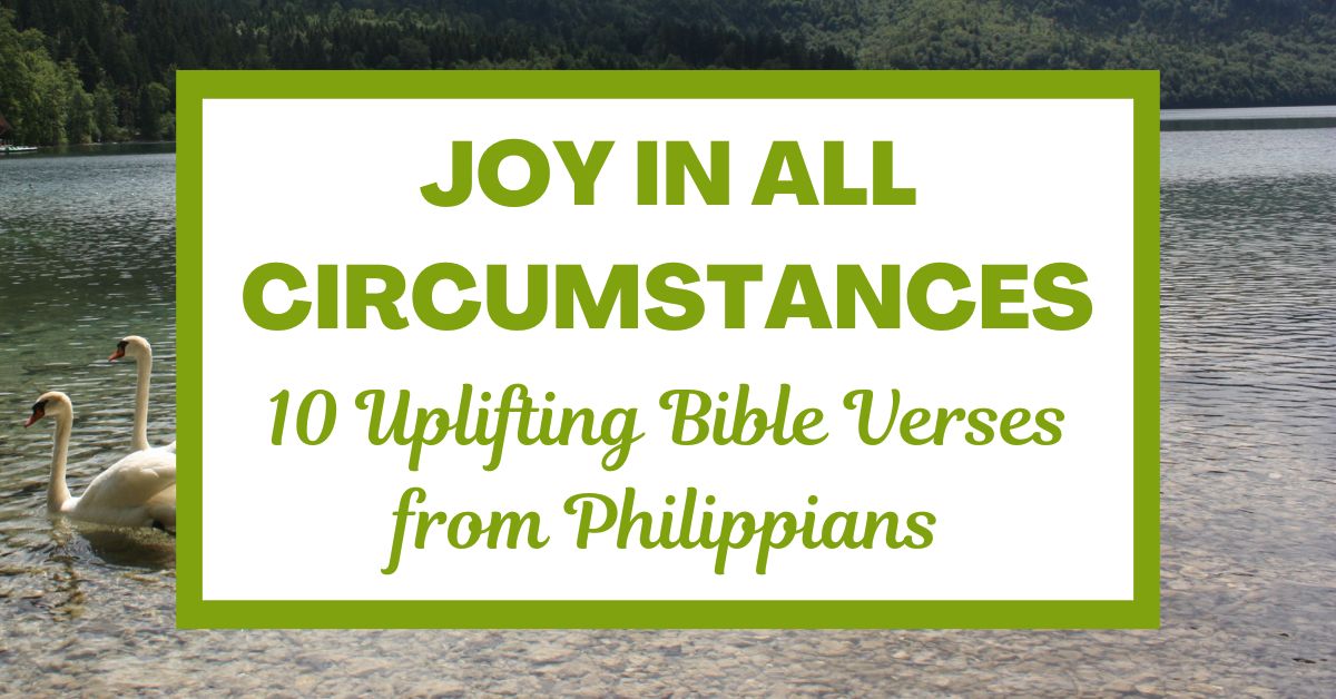Joy in All Circumstances: 10 Uplifting Bible Verses from&nbsp;Philippians