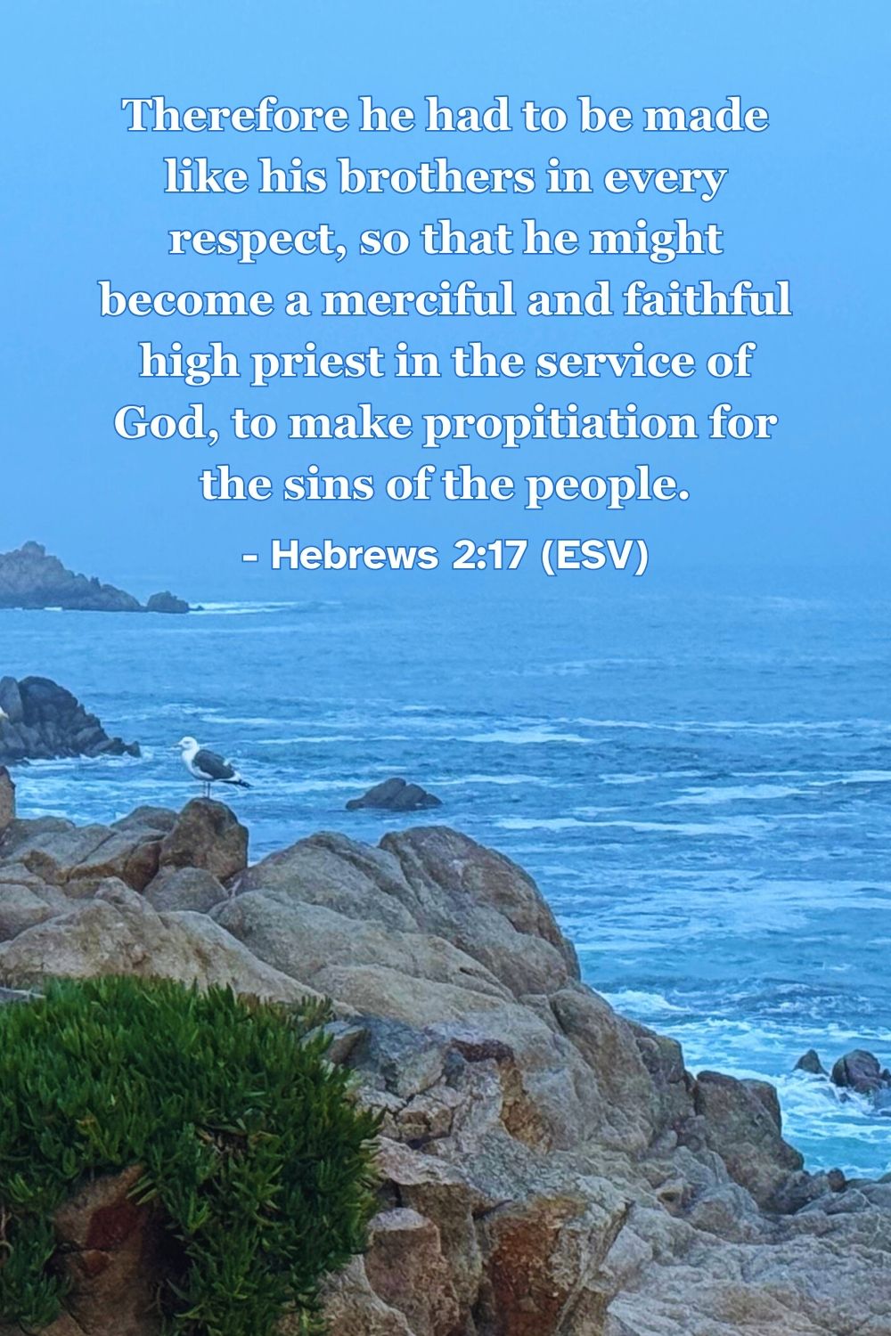 Hebrews 2:17 (ESV): Therefore he had to be made like his brothers in every respect, so that he might become a merciful and faithful high priest in the service of God, to make propitiation for the sins of the people.