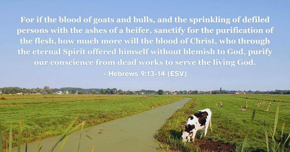 Hebrews 9:13-14 (ESV): For if the blood of goats and bulls, and the sprinkling of defiled persons with the ashes of a heifer, sanctify for the purification of the flesh, how much more will the blood of Christ, who through the eternal Spirit offered himself without blemish to God, purify our conscience from dead works to serve the living God.