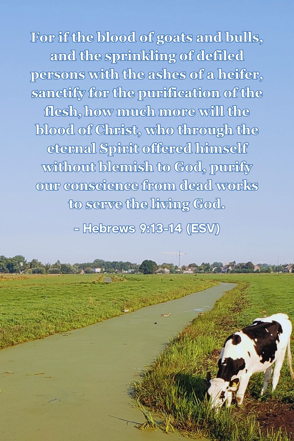 Hebrews 9:13-14 (ESV): For if the blood of goats and bulls, and the sprinkling of defiled persons with the ashes of a heifer, sanctify for the purification of the flesh, how much more will the blood of Christ, who through the eternal Spirit offered himself without blemish to God, purify our conscience from dead works to serve the living God.