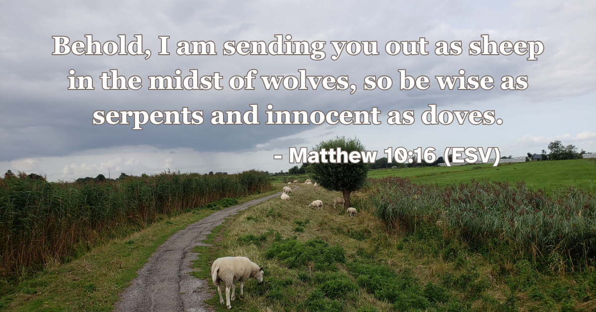 Matthew 10:16 (ESV): Behold, I am sending you out as sheep in the midst of wolves, so be wise as serpents and innocent as doves.