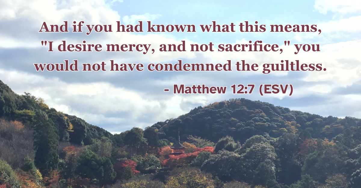 Matthew 12:7 (ESV): And if you had known what this means, "I desire mercy, and not sacrifice," you would not have condemned the guiltless.