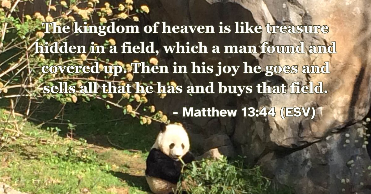 Matthew 13:44 (ESV): The kingdom of heaven is like treasure hidden in a field, which a man found and covered up. Then in his joy he goes and sells all that he has and buys that field.