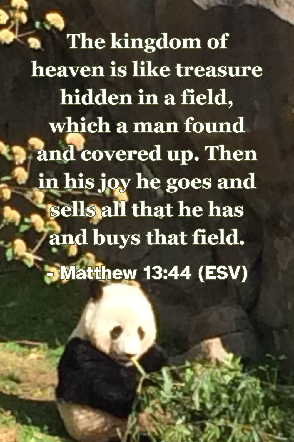 Matthew 13:44 (ESV): The kingdom of heaven is like treasure hidden in a field, which a man found and covered up. Then in his joy he goes and sells all that he has and buys that field.