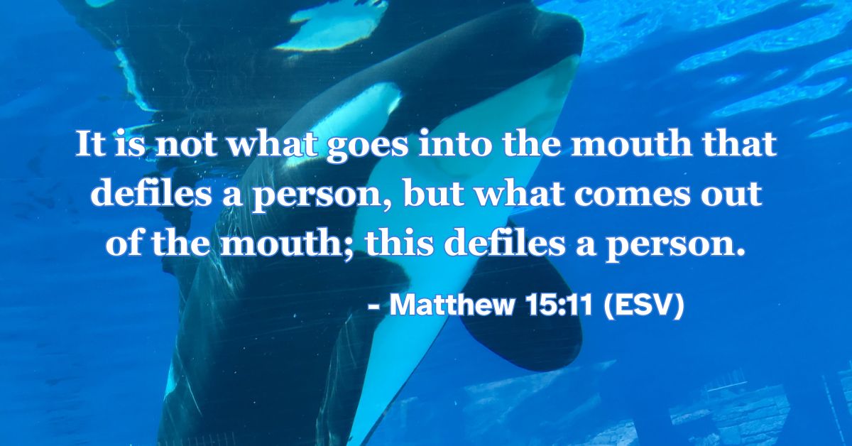 Matthew 15:11 (ESV): It is not what goes into the mouth that defiles a person, but what comes out of the mouth; this defiles a person.