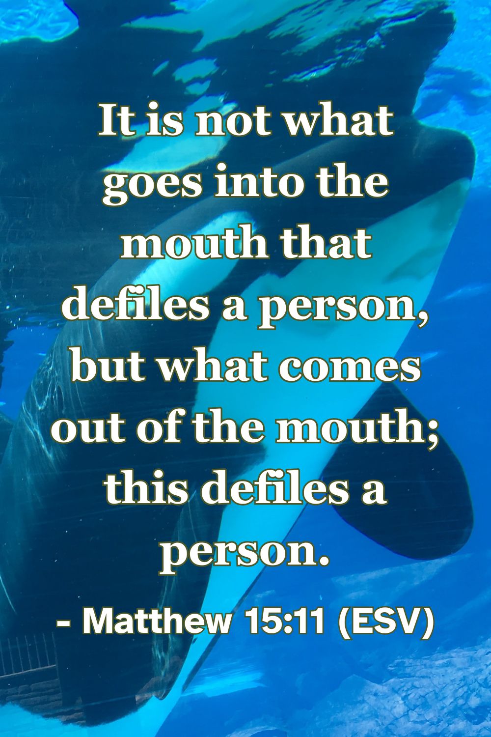 Matthew 15:11 (ESV): It is not what goes into the mouth that defiles a person, but what comes out of the mouth; this defiles a person.