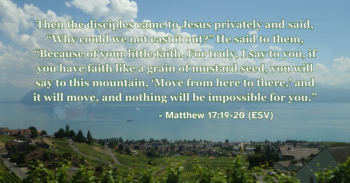 Matthew 17:19-20 (ESV): Then the disciples came to Jesus privately and said, “Why could we not cast it out?” He said to them, “Because of your little faith. For truly, I say to you, if you have faith like a grain of mustard seed, you will say to this mountain, ‘Move from here to there,’ and it will move, and nothing will be impossible for you.”