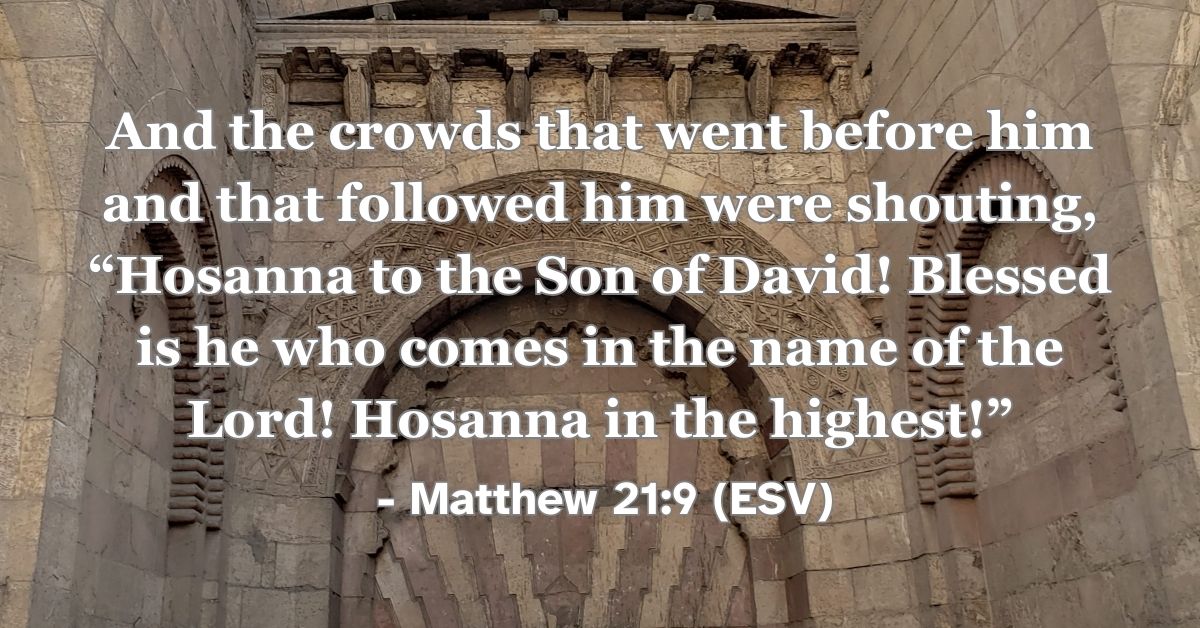 Matthew 21:9 (ESV): And the crowds that went before him and that followed him were shouting, “Hosanna to the Son of David! Blessed is he who comes in the name of the Lord! Hosanna in the highest!”