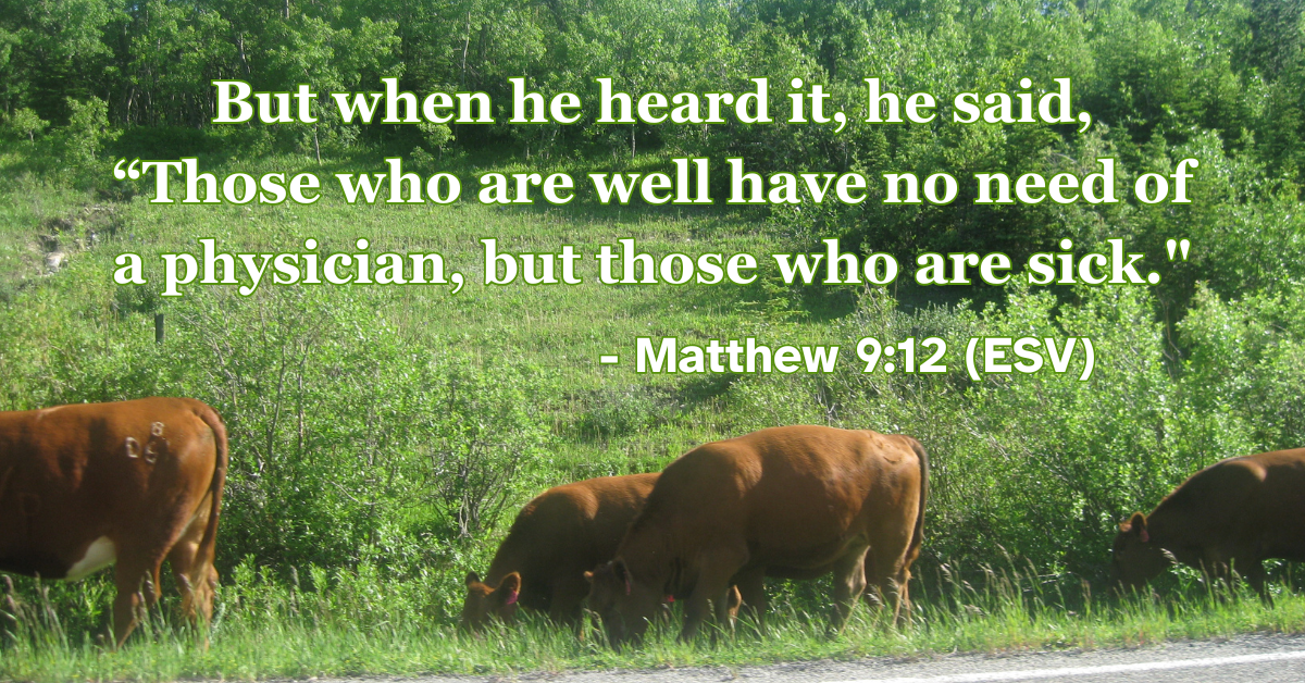 Matthew 9:12 (ESV): But when he heard it, he said, “Those who are well have no need of a physician, but those who are sick."