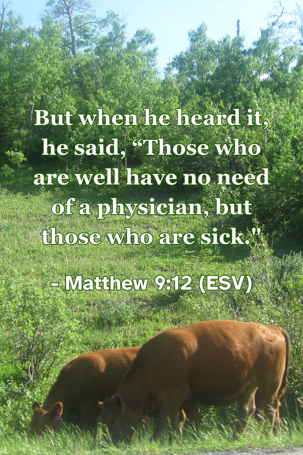 Matthew 9:12 (ESV): But when he heard it, he said, “Those who are well have no need of a physician, but those who are sick."