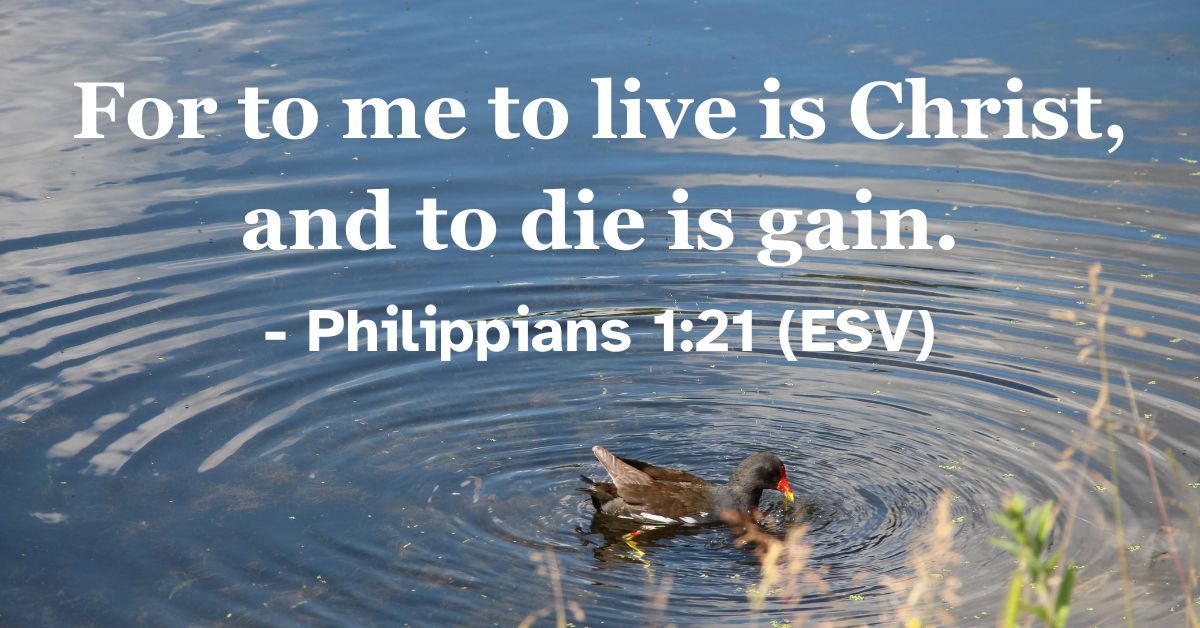 Philippians1:21 (ESV): For to me to live is Christ, and to die is gain.