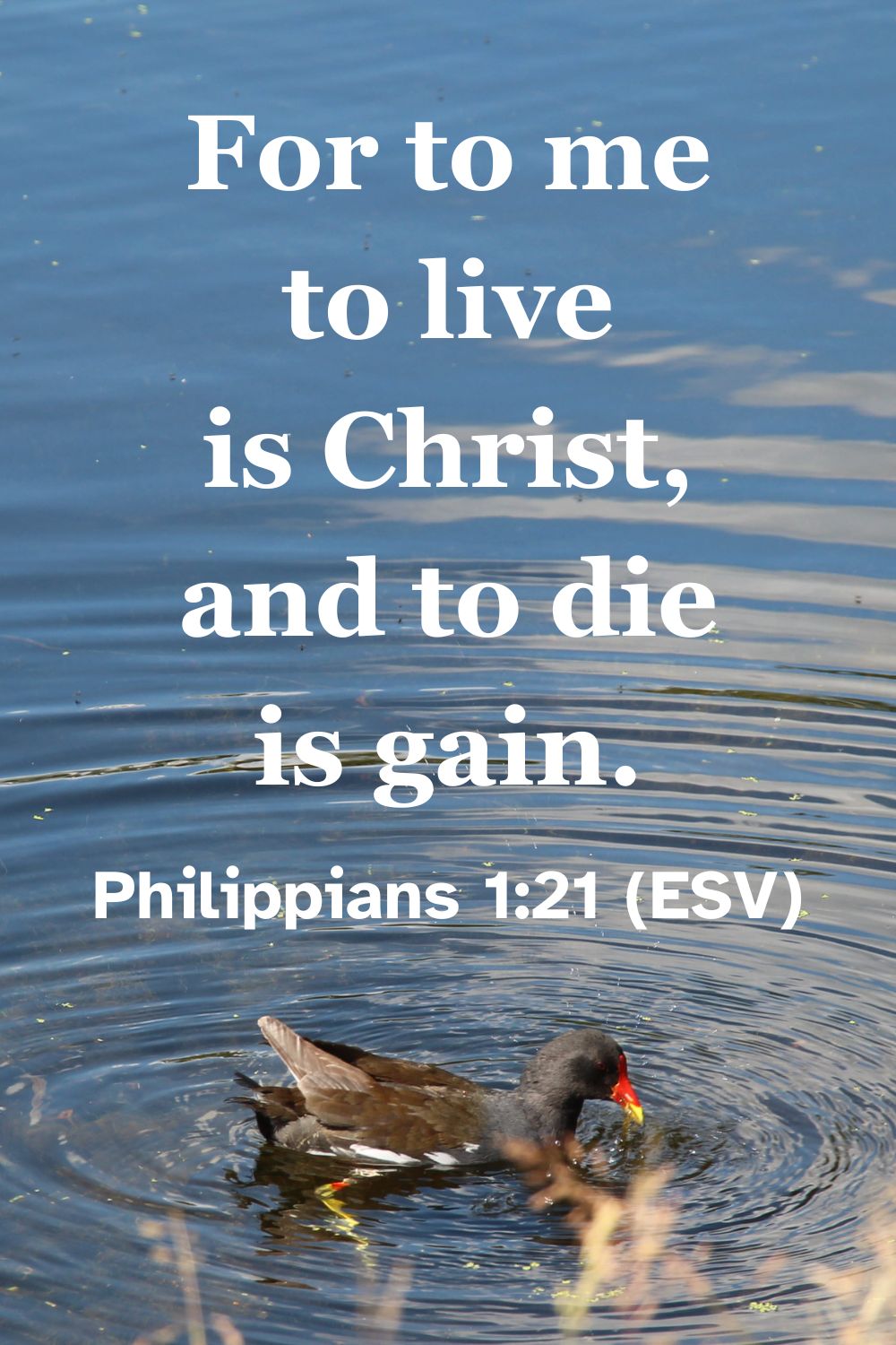 Philippians1:21 (ESV): For to me to live is Christ, and to die is gain.