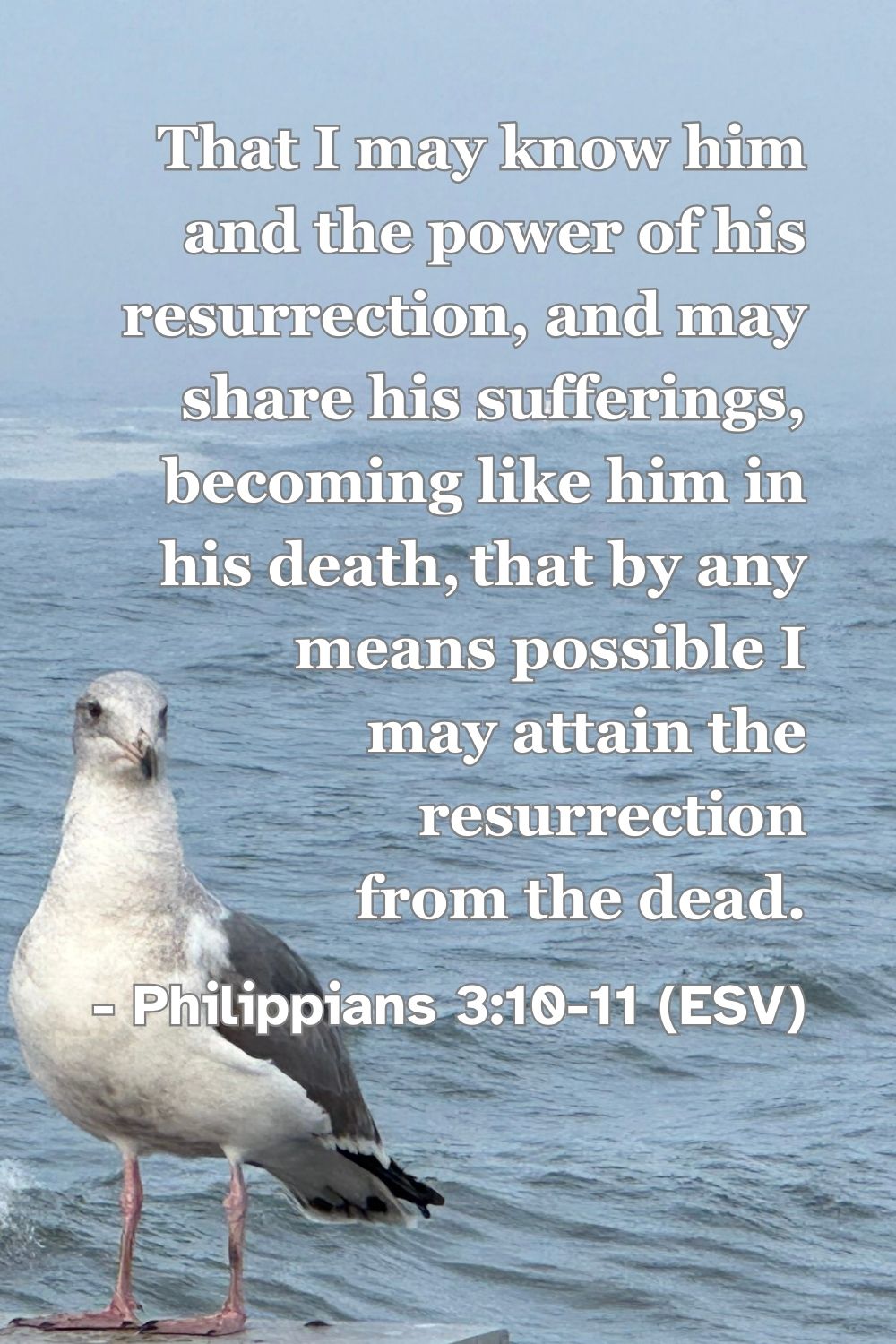 Philippians 3:10-11 (ESV): That I may know him and the power of his resurrection, and may share his sufferings, becoming like him in his death, that by any means possible I may attain the resurrection from the dead.