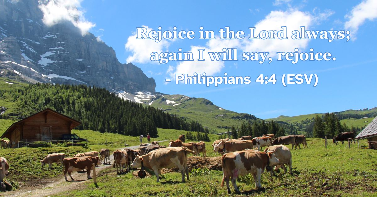 Philippians 4:4 (ESV): Rejoice in the Lord always; again I will say, rejoice.
