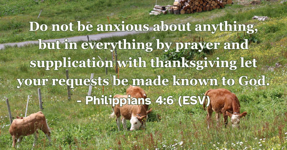 Philippians 4:6 (ESV): Do not be anxious about anything, but in everything by prayer and supplication with thanksgiving let your requests be made known to God.