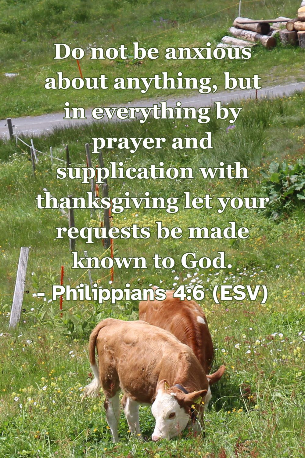 Philippians 4:6 (ESV): Do not be anxious about anything, but in everything by prayer and supplication with thanksgiving let your requests be made known to God.
