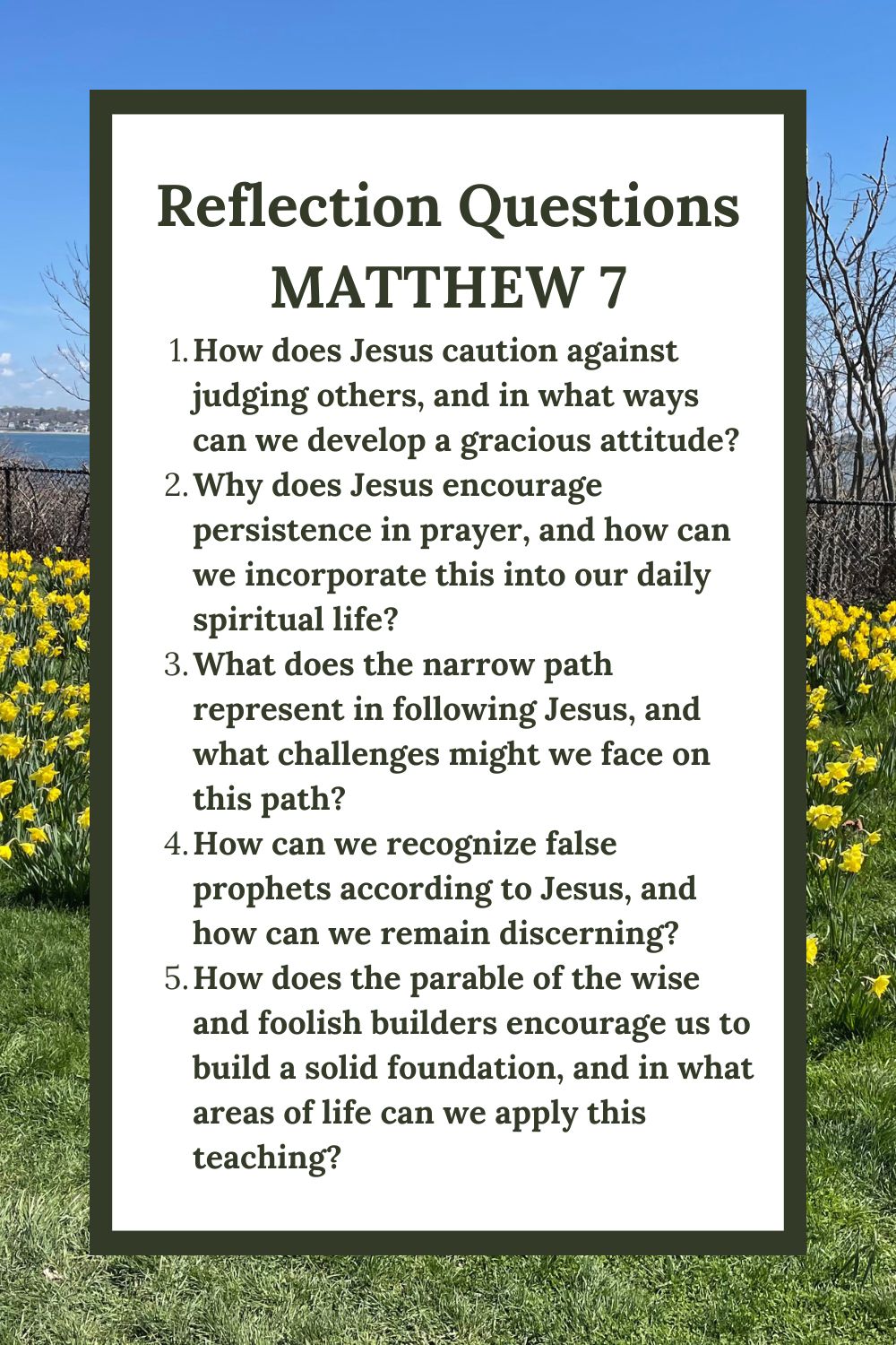 Reflection Questions
Matthew 7
How does Jesus caution against judging others, and in what ways can we develop a gracious attitude?
Why does Jesus encourage persistence in prayer, and how can we incorporate this into our daily spiritual life?
What does the narrow path represent in following Jesus, and what challenges might we face on this path?
How can we recognize false prophets according to Jesus, and how can we remain discerning?
How does the parable of the wise and foolish builders encourage us to build a solid foundation, and in what areas of life can we apply this teaching?
