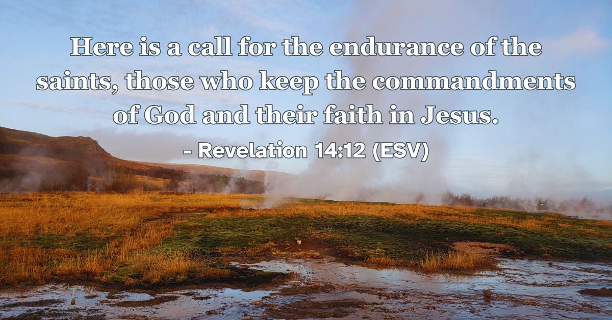 Revelation 14:12 (ESV): Here is a call for the endurance of the saints, those who keep the commandments of God and their faith in Jesus.