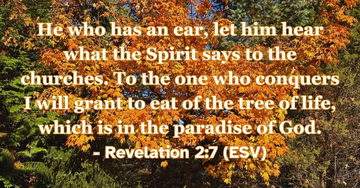 Revelation 2:7 (ESV): He who has an ear, let him hear what the Spirit says to the churches. To the one who conquers I will grant to eat of the tree of life, which is in the paradise of God.
