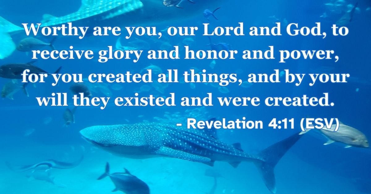 Revelation 4:11 (ESV): Worthy are you, our Lord and God, to receive glory and honor and power, for you created all things, and by your will they existed and were created.