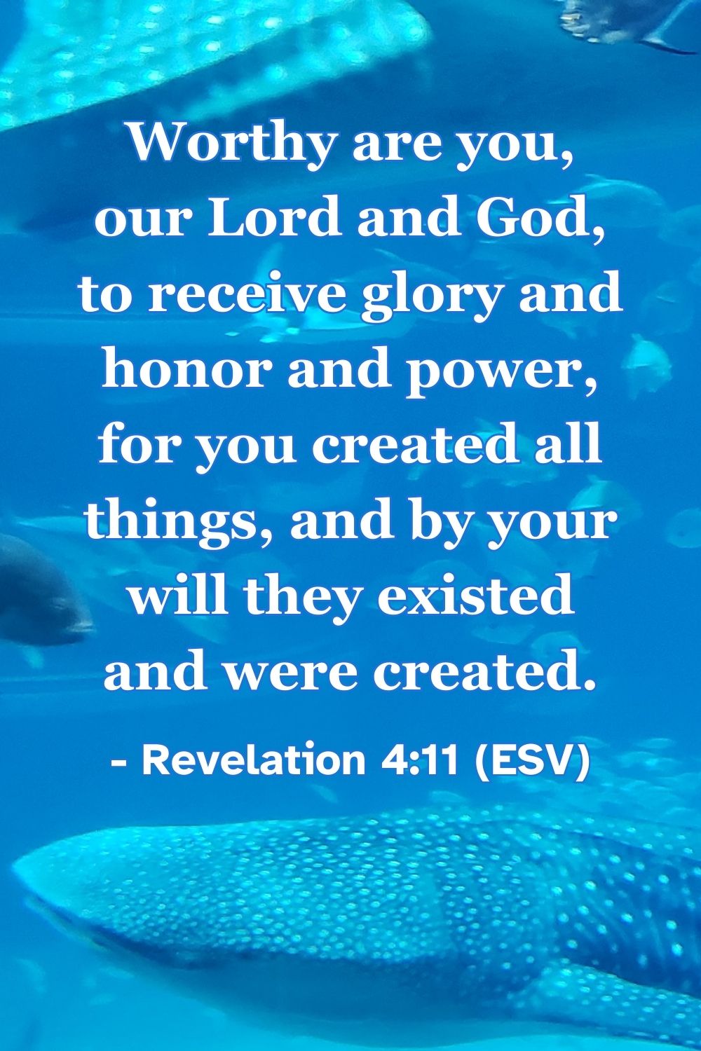 Revelation 4:11 (ESV): Worthy are you, our Lord and God, to receive glory and honor and power, for you created all things, and by your will they existed and were created.