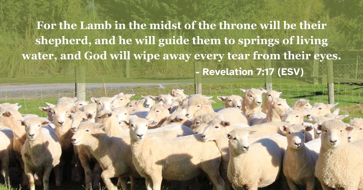 Revelation 7:17 (ESV): For the Lamb in the midst of the throne will be their shepherd, and he will guide them to springs of living water, and God will wipe away every tear from their eyes.