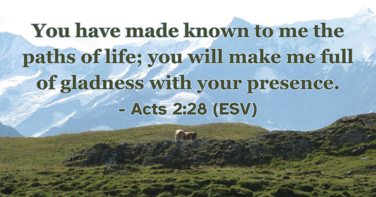 Acts 2:28 (ESV): You have made known to me the paths of life; you will make me full of gladness with your presence.