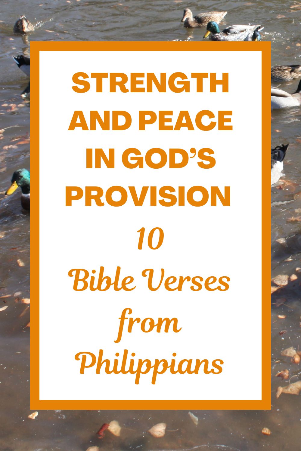Strength and Peace in God’s Provision: 10 Bible Verses from Philippians