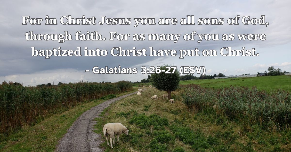Joy in Galatians: 10 Bible Verses That Transform the Heart – Joyful ...