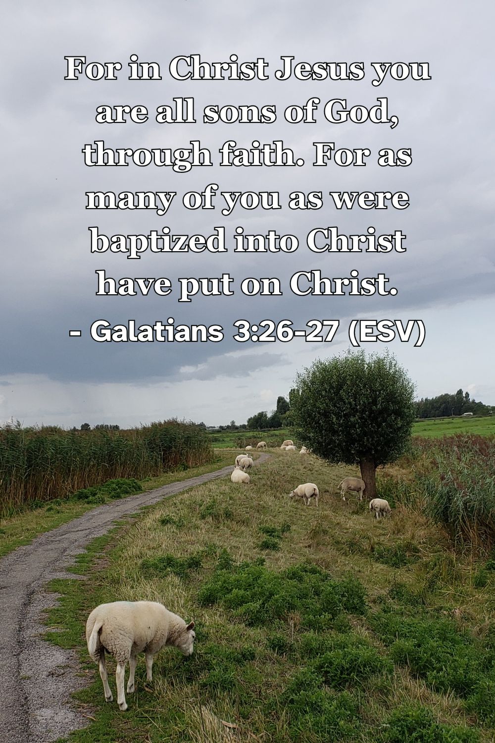 Galatians 3:26-27 (ESV): For in Christ Jesus you are all sons of God, through faith. For as many of you as were baptized into Christ have put on Christ.