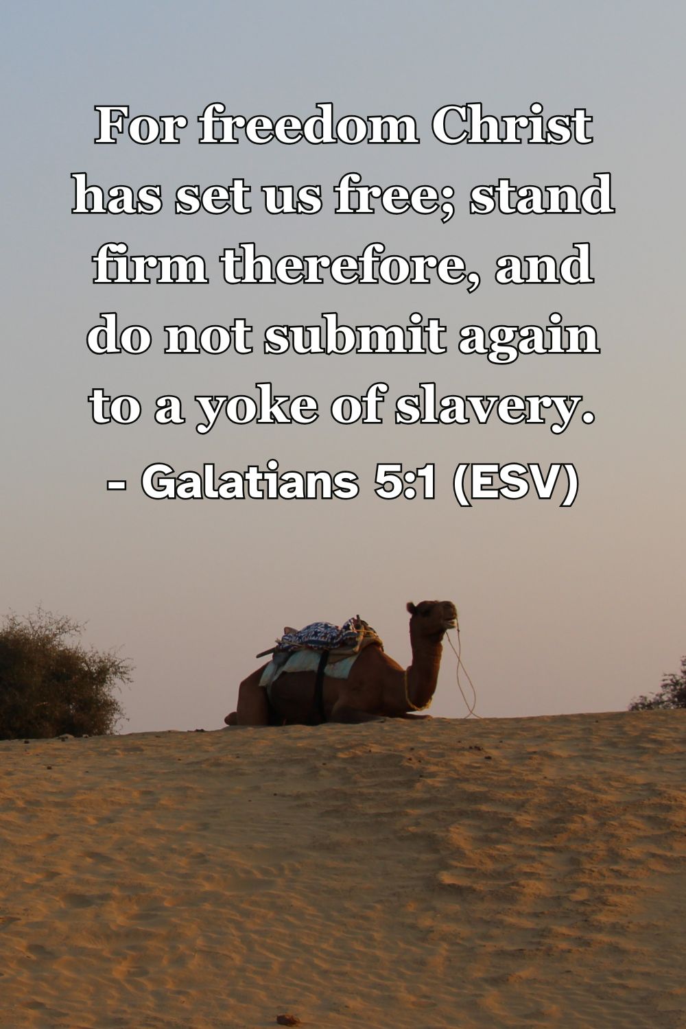 Galatians 5:1 (ESV): For freedom Christ has set us free; stand firm therefore, and do not submit again to a yoke of slavery.
