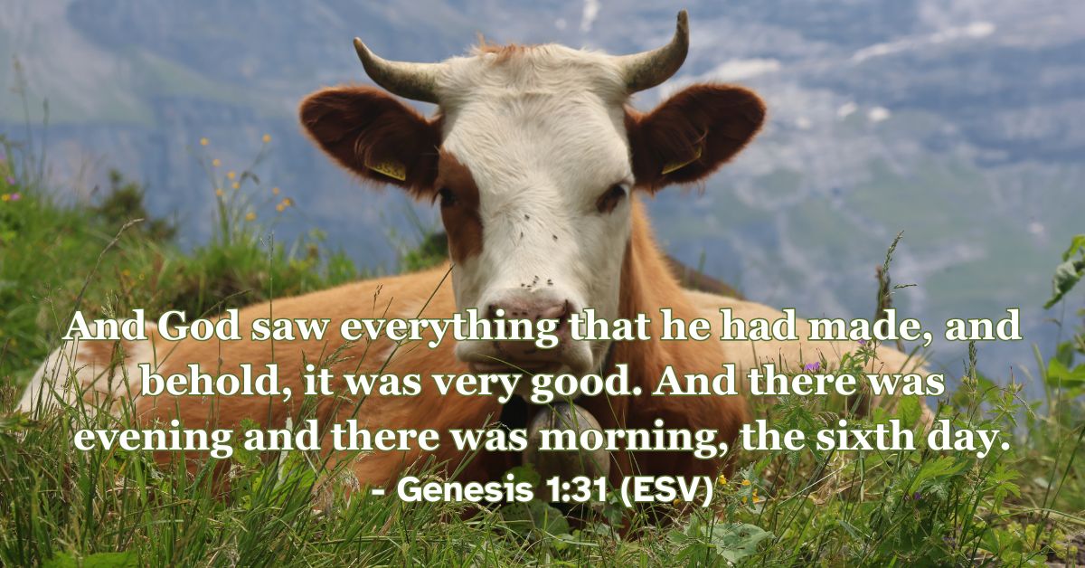 Genesis 1:31 (ESV): And God saw everything that he had made, and behold, it was very good. And there was evening and there was morning, the sixth day.