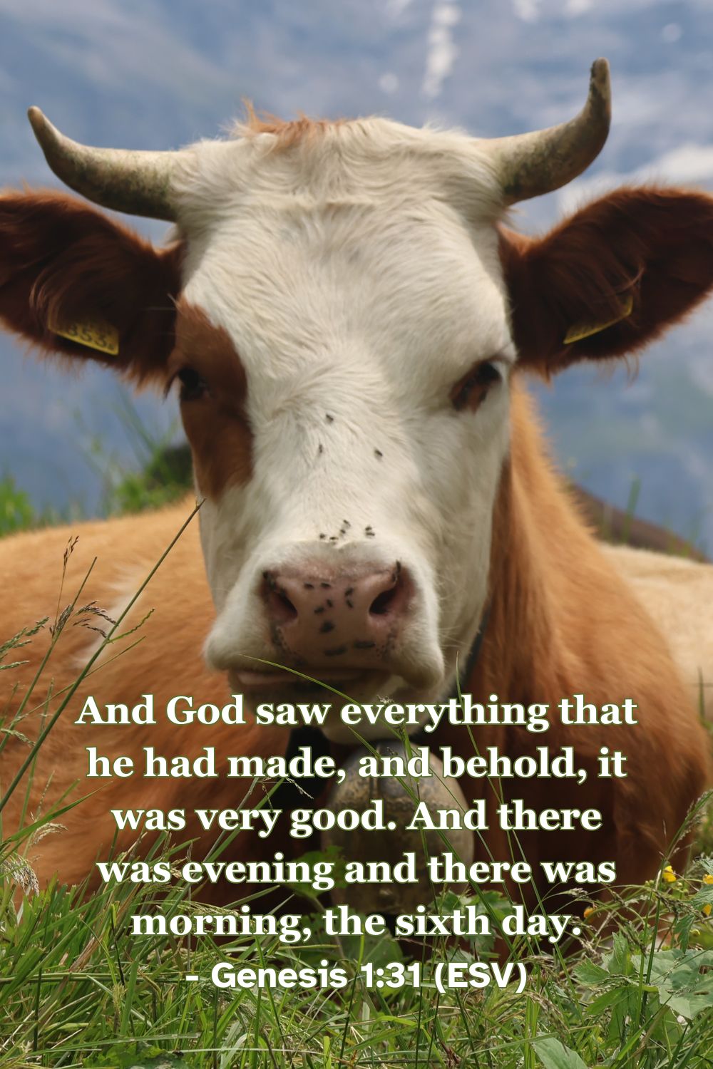 Genesis 1:31 (ESV): And God saw everything that he had made, and behold, it was very good. And there was evening and there was morning, the sixth day.