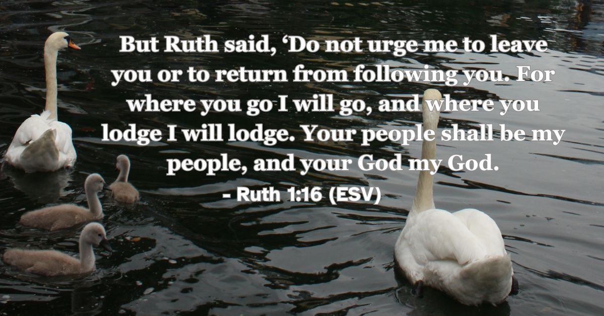 Ruth 1:16 (ESV): But Ruth said, “Do not urge me to leave you or to return from following you. For where you go I will go, and where you lodge I will lodge. Your people shall be my people, and your God my God.”
