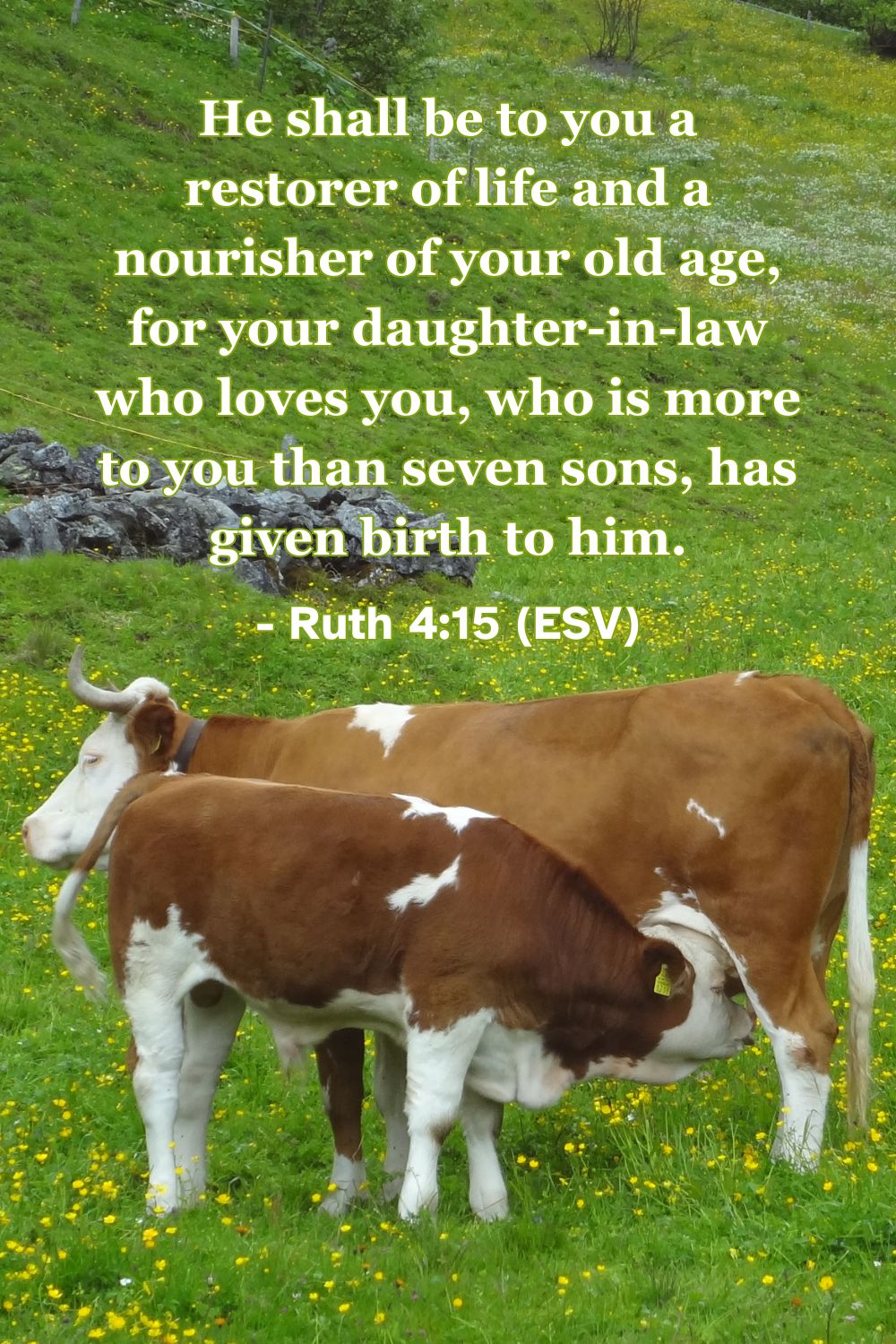 Ruth 4:15 (ESV): He shall be to you a restorer of life and a nourisher of your old age, for your daughter-in-law who loves you, who is more to you than seven sons, has given birth to him.