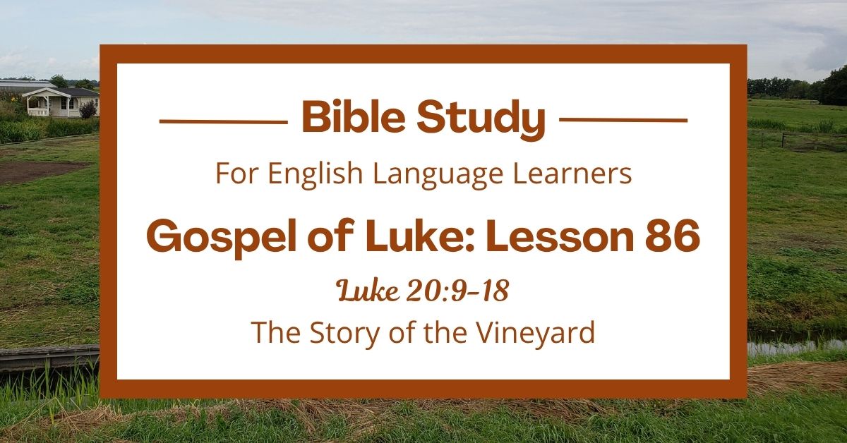 ELL Bible Study: Luke 20:9-18 — The Story of the&nbsp;Vineyard