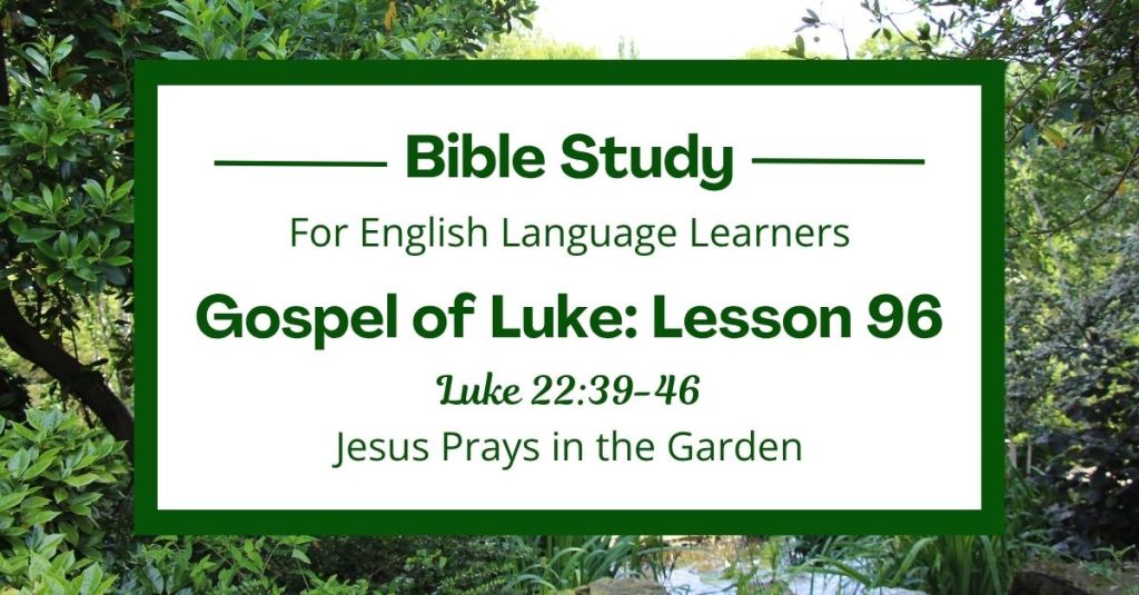 ELL Lesson 96: Luke 22:39-46 — Jesus Prays in the Garden