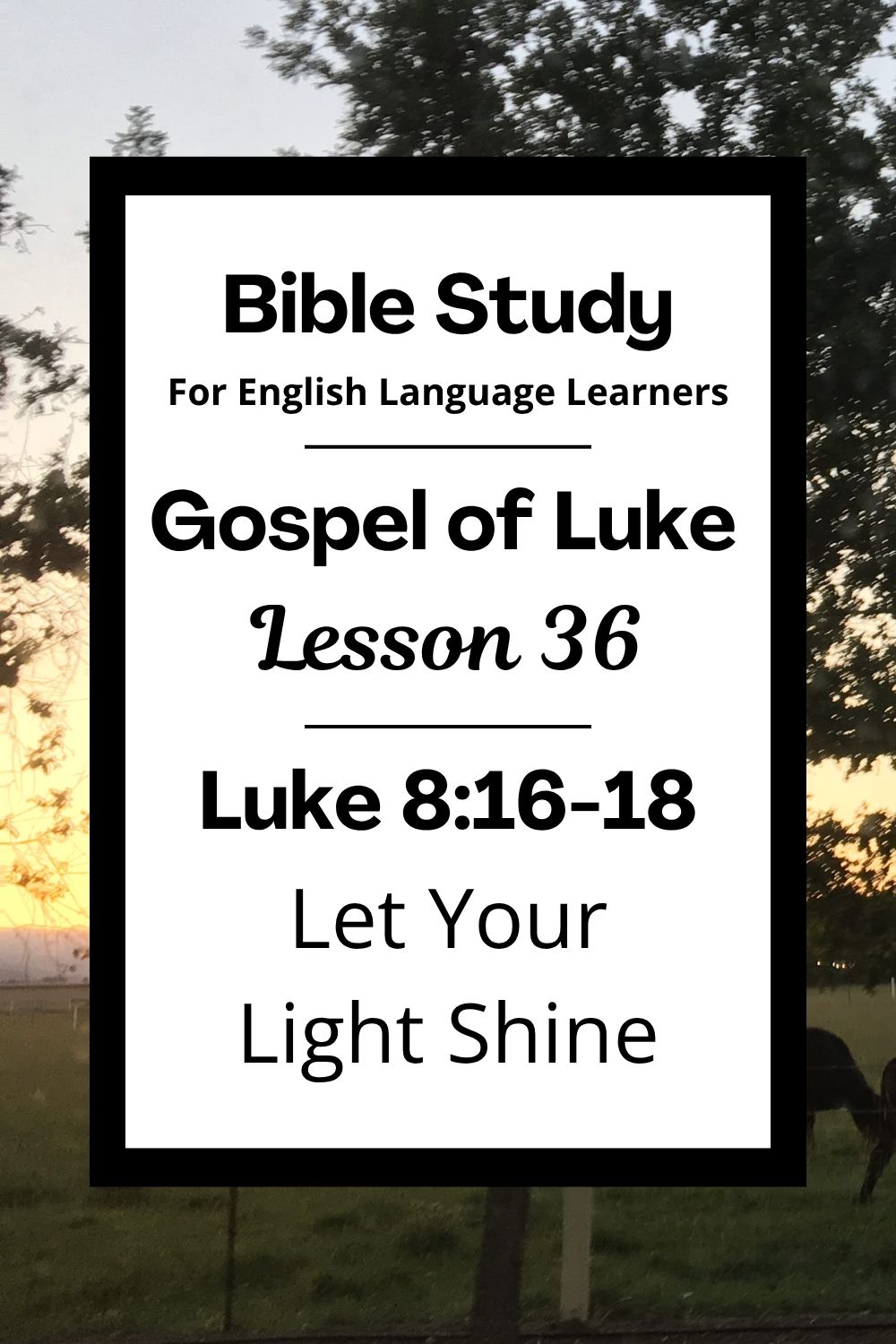 ELL Lesson 36: Luke 8:16-18 — Let Your Light Shine