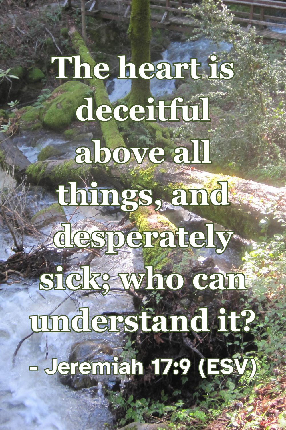Jeremiah 17:9 (ESV): The heart is deceitful above all things, and desperately sick; who can understand it?