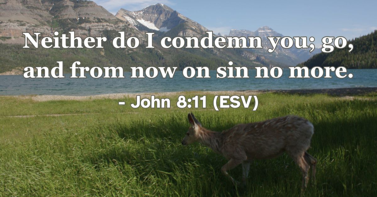 John 8:11 (ESV): “Neither do I condemn you; go, and from now on sin no more."