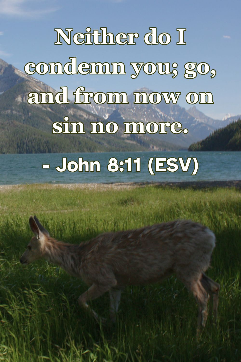 John 8:11 (ESV): “Neither do I condemn you; go, and from now on sin no more."