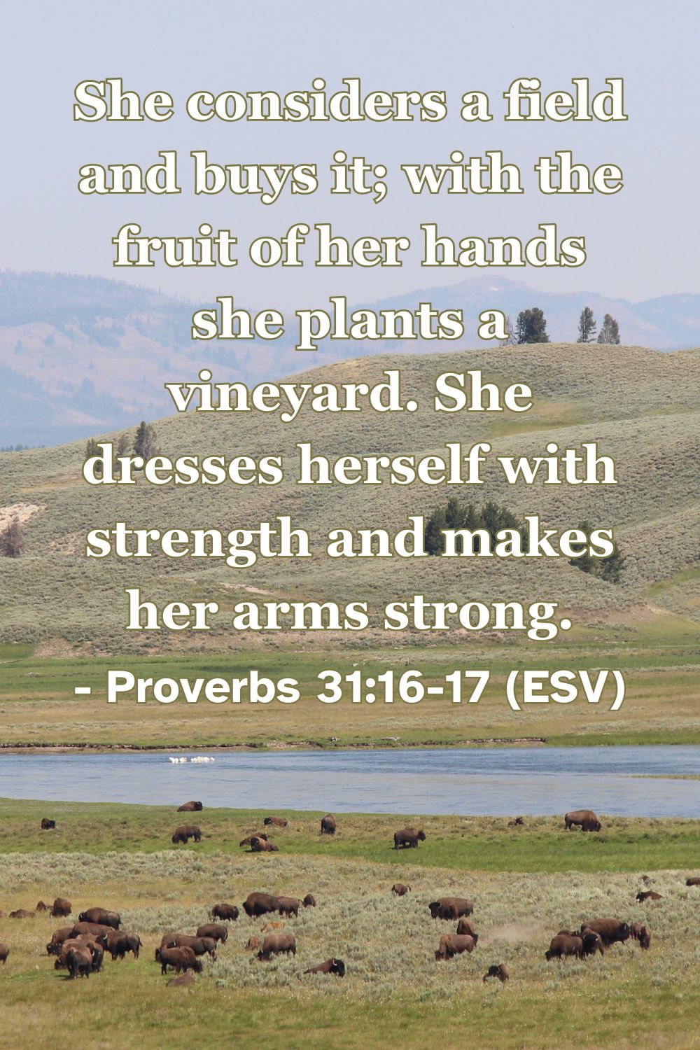 Proverbs 31:16-17 (ESV): She considers a field and buys it; with the fruit of her hands she plants a vineyard. She dresses herself with strength and makes her arms strong.