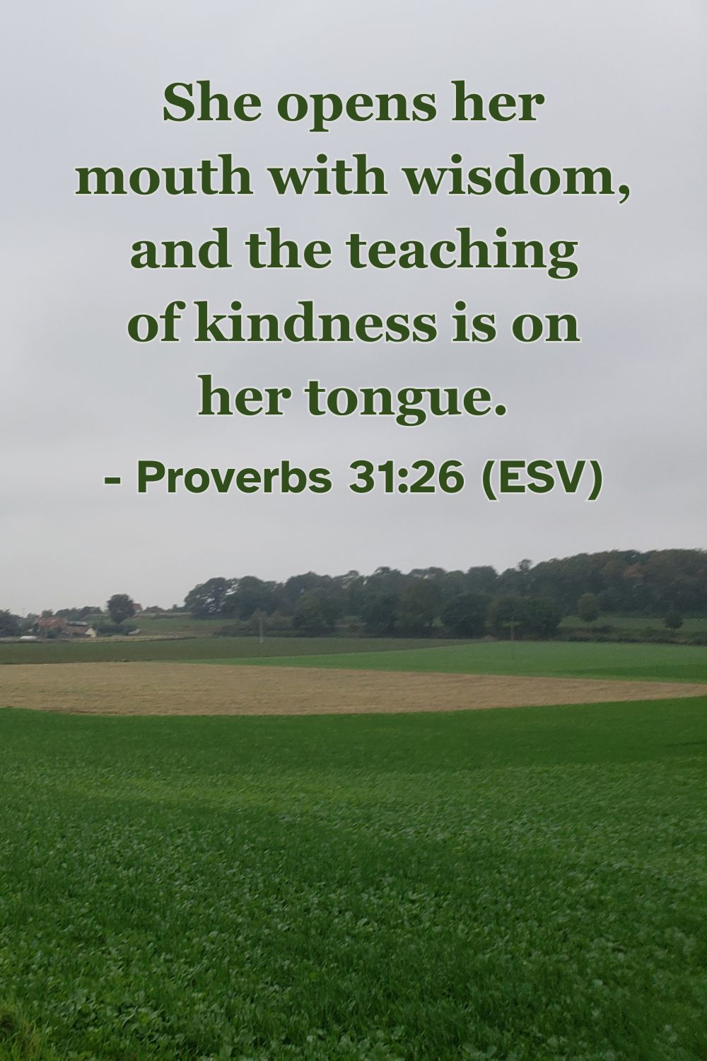 Proverbs 31:26 (ESV): She opens her mouth with wisdom, and the teaching of kindness is on her tongue.
