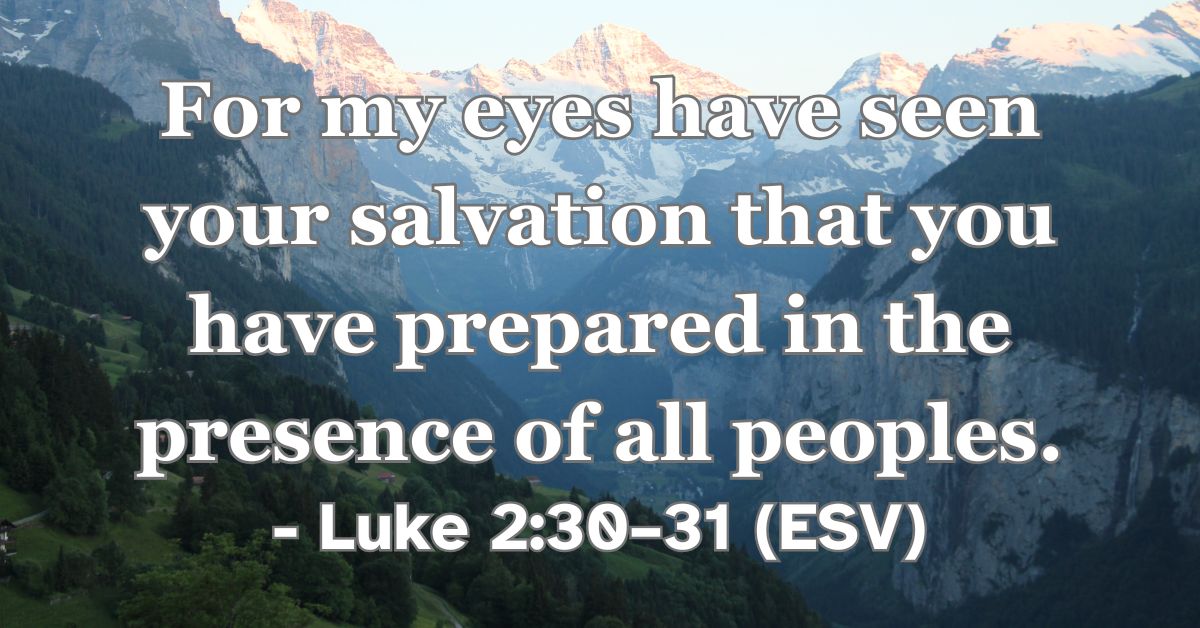 Luke 2:30–31 (ESV): For my eyes have seen your salvation that you have prepared in the presence of all peoples.